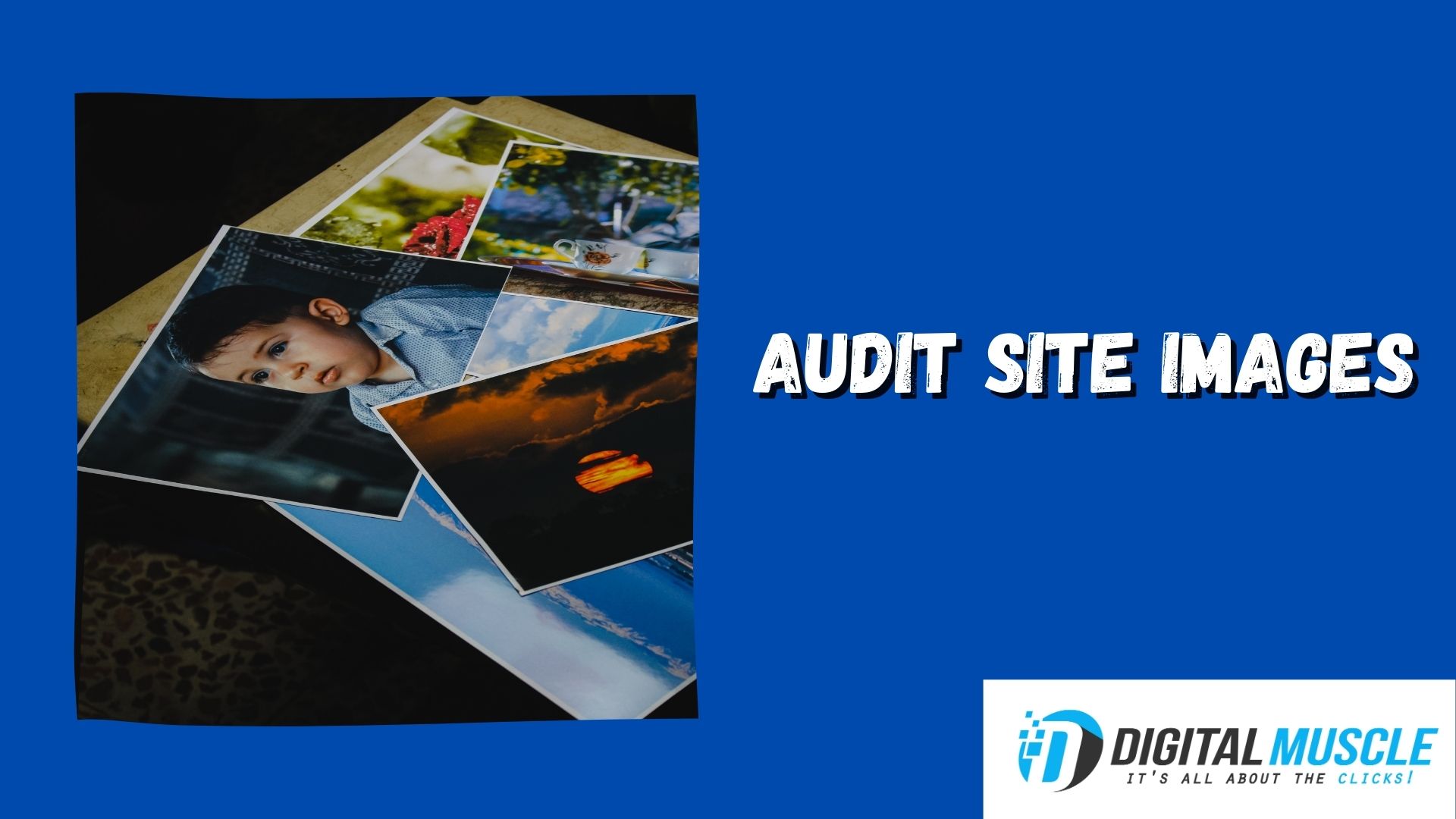 audit site images